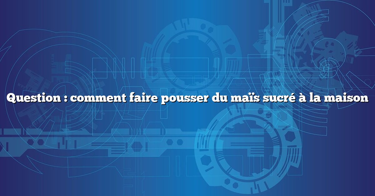 Question : comment faire pousser du maïs sucré à la maison